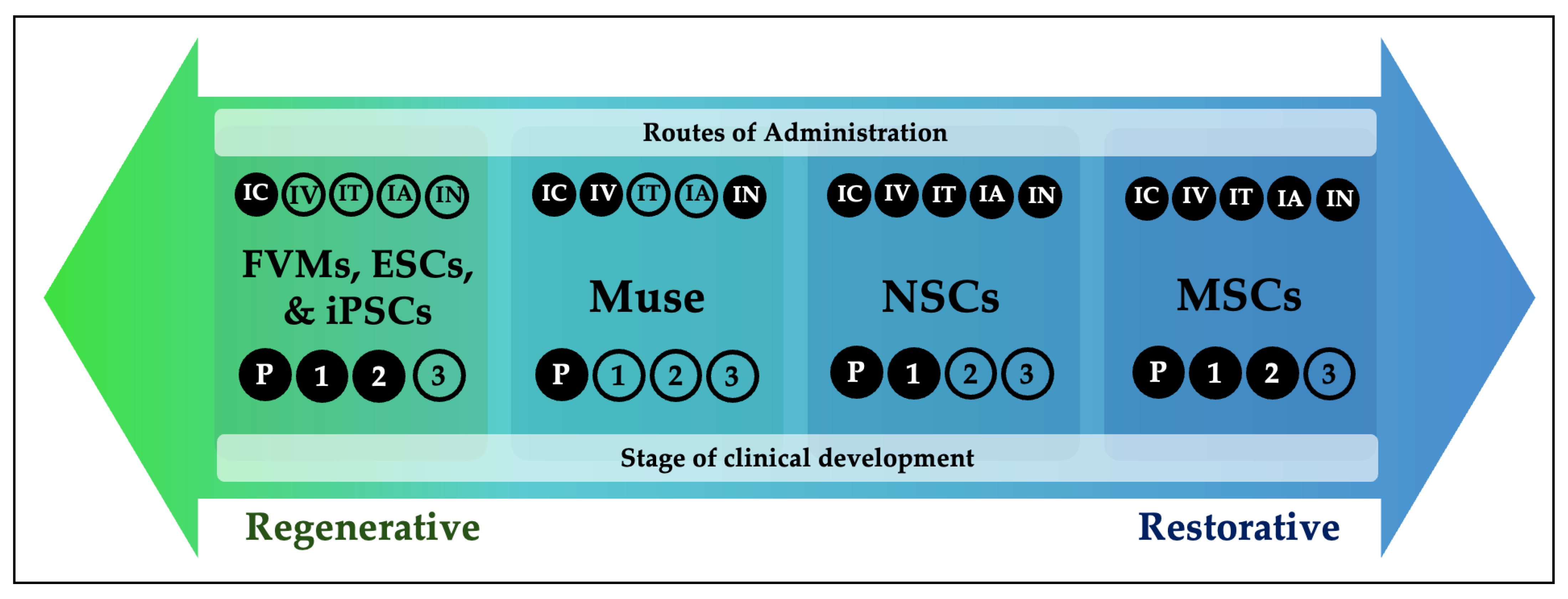 圖1：帕金森病干細(xì)胞療法的再生-修復(fù)概念連續(xù)體。帕金森病干細(xì)胞療法的概念可以理解為一個(gè)從以再生為主到以修復(fù)為主的連續(xù)體。圖中展示了每種細(xì)胞類型的給藥途徑和臨床開發(fā)階段。