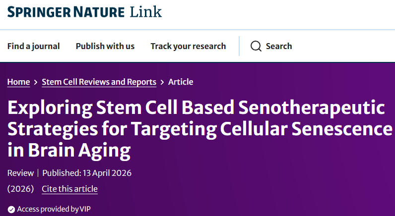 修復血腦屏障、清除炎癥循環：干細胞“無細胞療法”正重新定義大腦抗衰方案